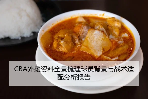 CBA外援资料全景梳理球员背景与战术适配分析报告